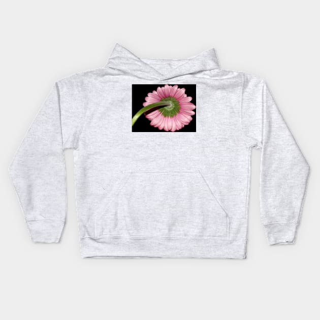 Pink Gerbera daisy Kids Hoodie by ikshvaku